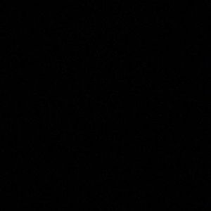 Meet your Posher, Timothy